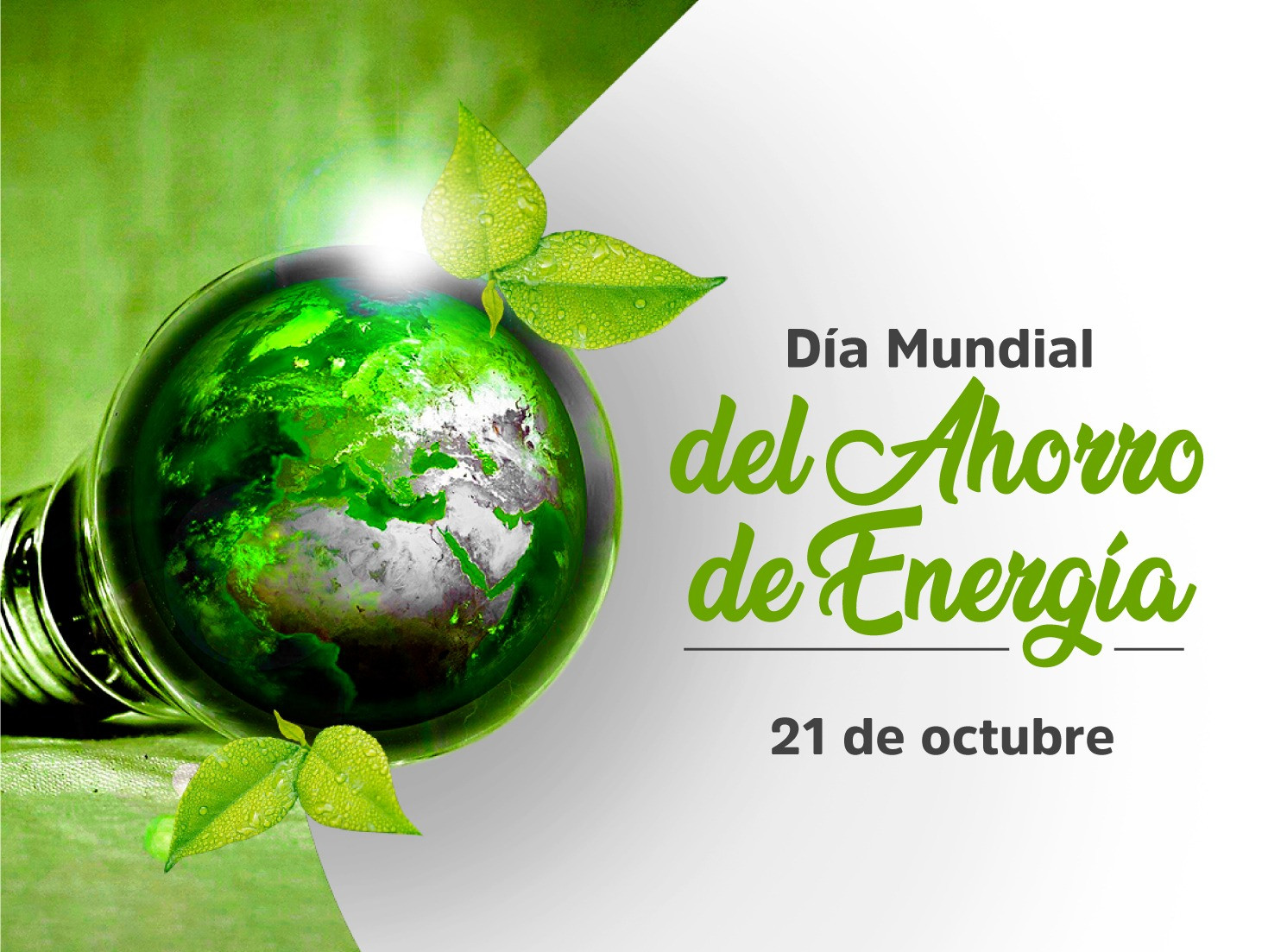 Día Mundial del Ahorro de Energía