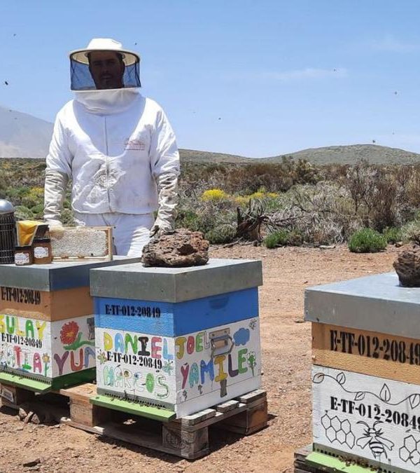 Emprender en apicultura, vocación, profesión y contribución a la biodiversidad de Tenerife