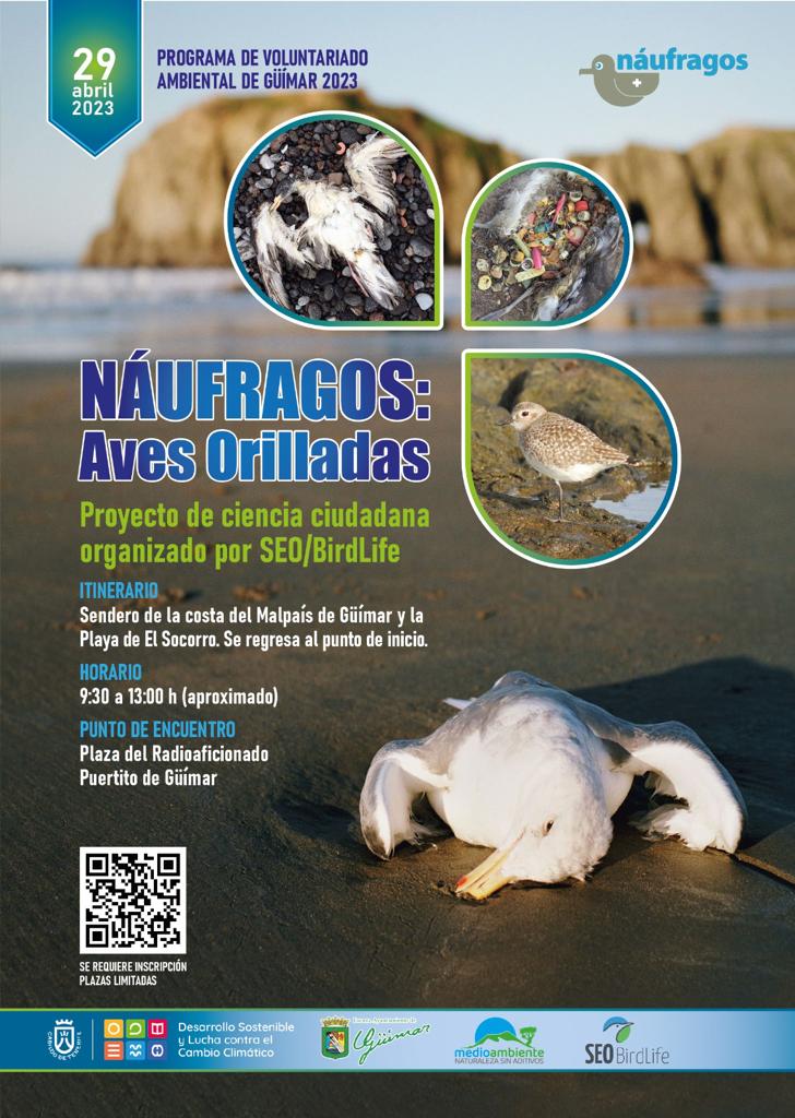 Náufragos: Aves Orilladas